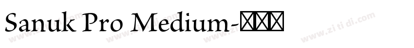 Sanuk Pro Medium字体转换